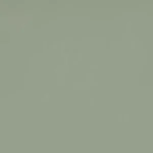 Cosentino Posidonia Green